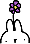 footer